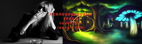спиды Абинск