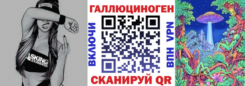 Псилоцибиновые грибы Psilocybe Ефремов